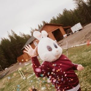 Meet your Posher, Darcy